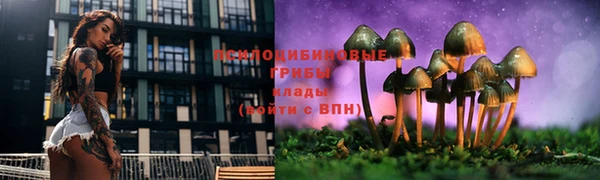 мет Бородино
