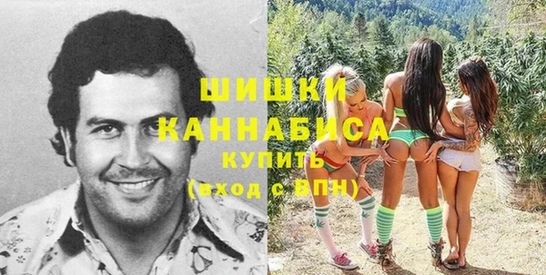 PSILOCYBIN Семилуки