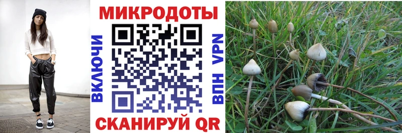 Псилоцибиновые грибы мухоморы купить наркоту Новый Оскол